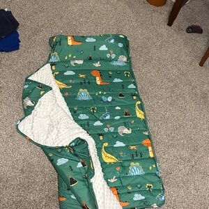 Green Dinosaur Sleeping Bag